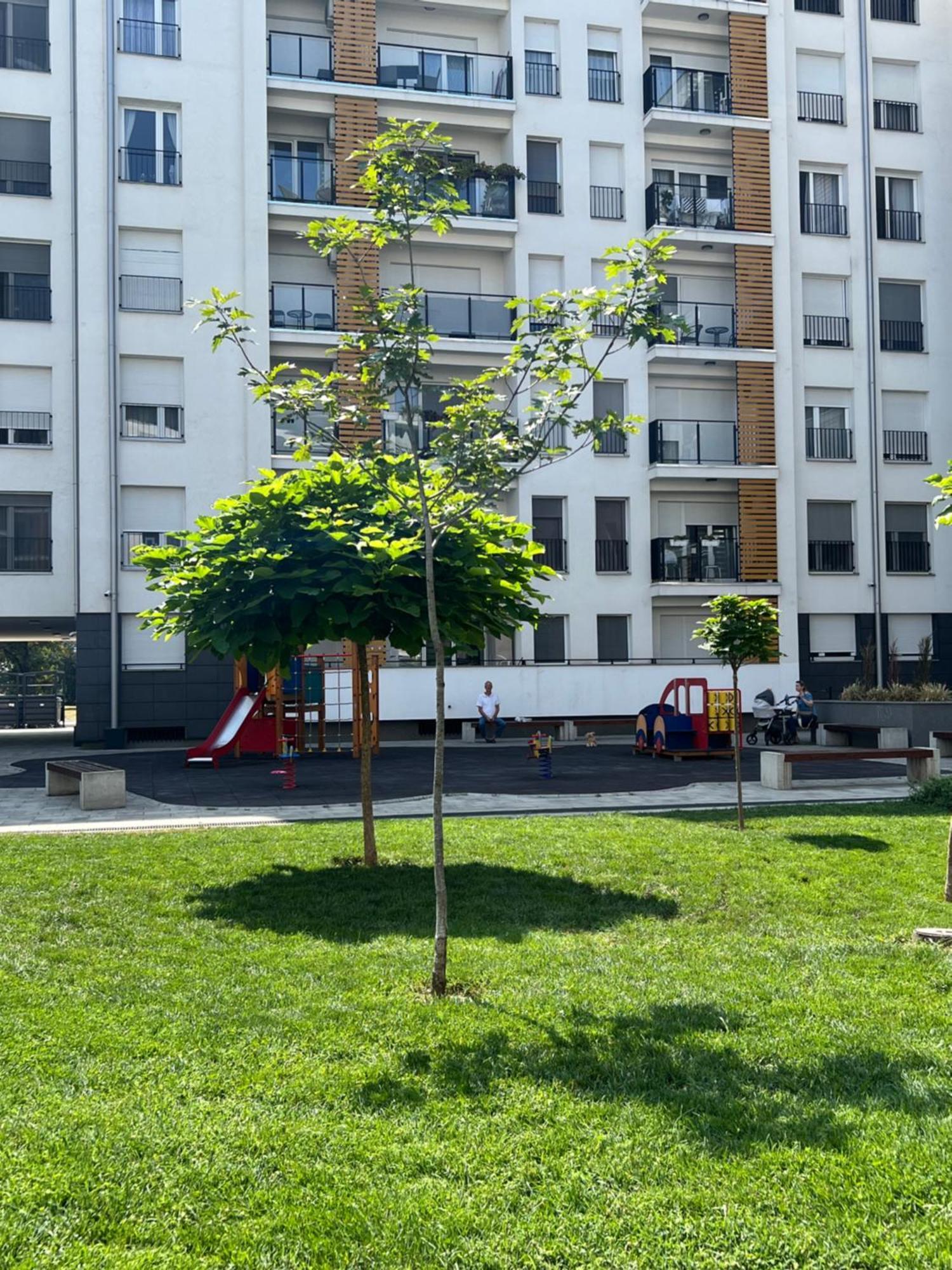 Appartamento Delete 5 - Zemunske Kapije Belgrado Esterno foto